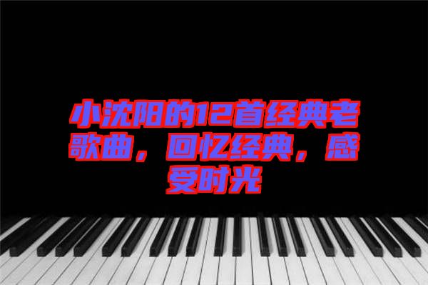 小沈陽的12首經(jīng)典老歌曲，回憶經(jīng)典，感受時光