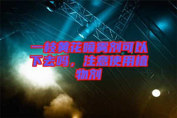 一枝黃花噴霧劑可以下去嗎，注意使用植物劑
