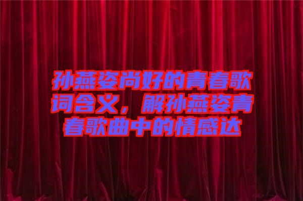 孫燕姿尚好的青春歌詞含義，解孫燕姿青春歌曲中的情感達