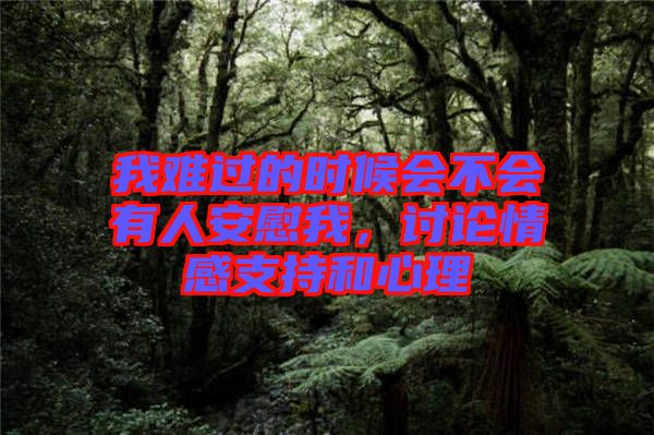 我難過的時(shí)候會(huì)不會(huì)有人安慰我，討論情感支持和心理