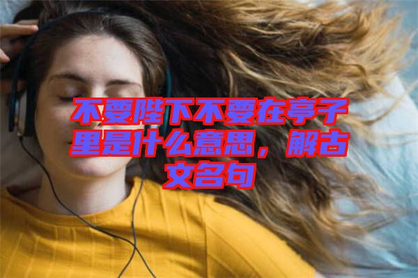 不要陛下不要在亭子里是什么意思，解古文名句