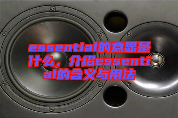 essential的意思是什么，介紹essential的含義與用法