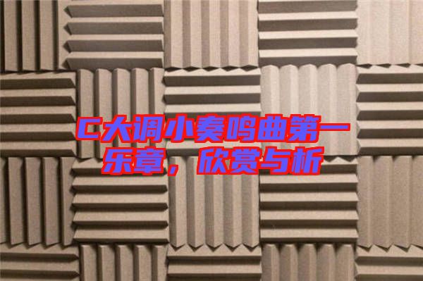 C大調(diào)小奏鳴曲第一樂章，欣賞與析