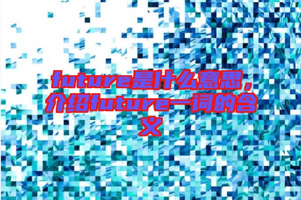 future是什么意思，介紹future一詞的含義