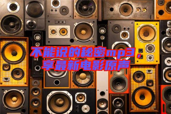 不能說的秘密mp3，享最新電影原聲