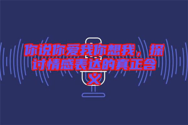 你說你愛我你想我，探討情感表達(dá)的真正含義