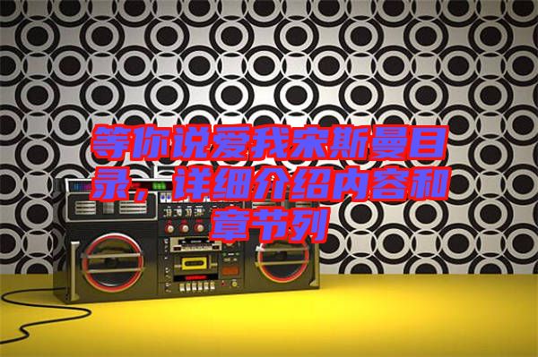 等你說愛我宋斯曼目錄，詳細介紹內(nèi)容和章節(jié)列