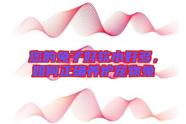 您的兔子好軟水好多，如何正確養(yǎng)護(hù)寵物兔