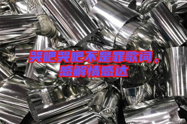 哭吧哭吧不是罪歌詞，感解情感達(dá)