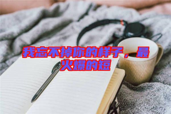 我忘不掉你的樣子，最火爆的短