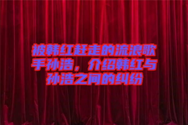 被韓紅趕走的流浪歌手孫浩，介紹韓紅與孫浩之間的糾紛