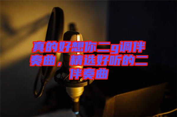 真的好想你二g調(diào)伴奏曲，精選好聽的二伴奏曲