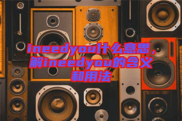 ineedyou什么意思，解ineedyou的含義和用法