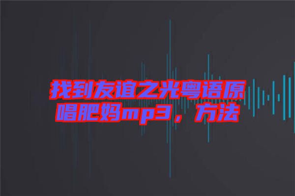 找到友誼之光粵語原唱肥媽mp3，方法