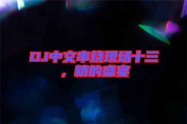 DJ中文串燒現場十三，精的盛宴