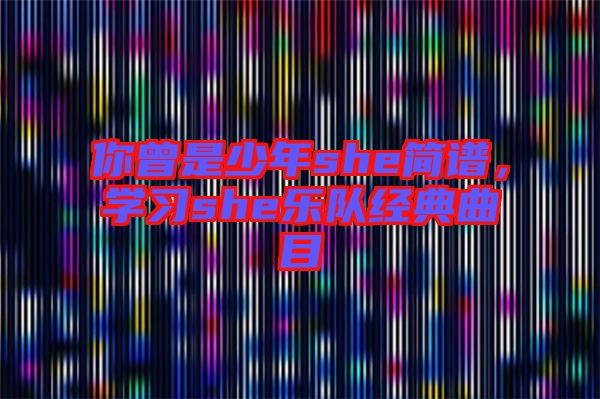 你曾是少年she簡(jiǎn)譜，學(xué)習(xí)she樂隊(duì)經(jīng)典曲目