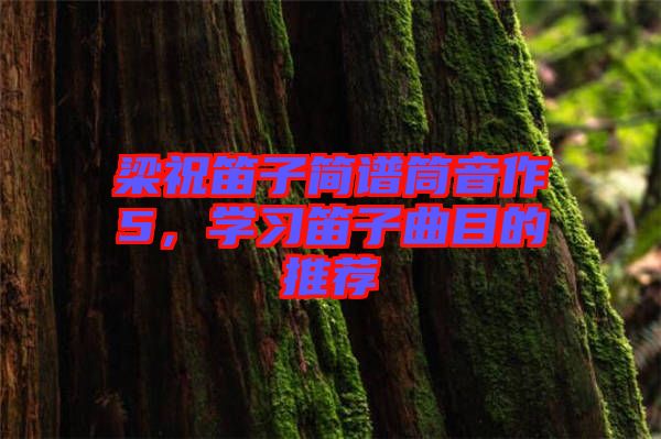 梁祝笛子簡譜筒音作5，學(xué)習(xí)笛子曲目的推薦