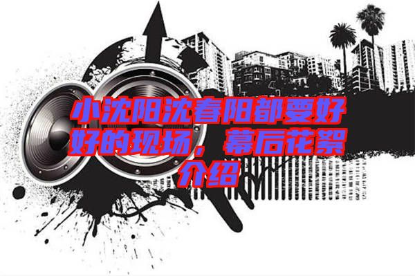 小沈陽沈春陽都要好好的現(xiàn)場，幕后花絮介紹