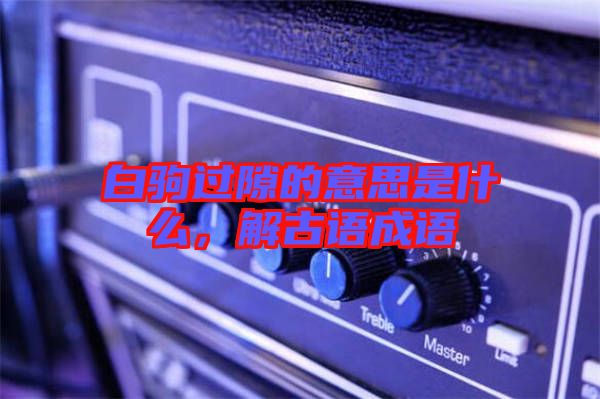 白駒過隙的意思是什么，解古語成語