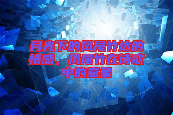 月光下的鳳尾竹達(dá)的情感，鳳尾竹在詩歌中的意象