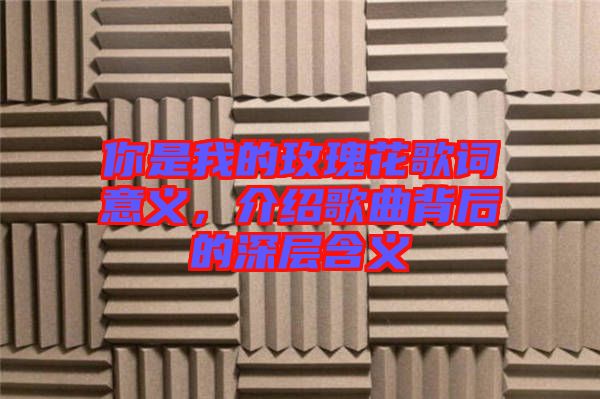 你是我的玫瑰花歌詞意義，介紹歌曲背后的深層含義