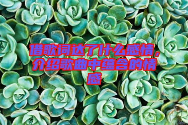 借歌詞達(dá)了什么感情，介紹歌曲中蘊(yùn)含的情感