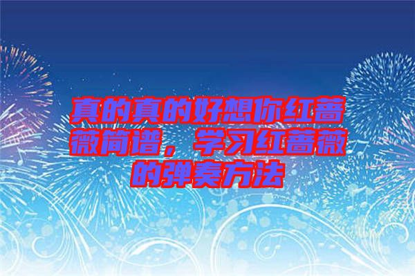 真的真的好想你紅薔薇簡(jiǎn)譜，學(xué)習(xí)紅薔薇的彈奏方法