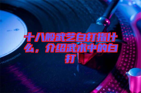 十八般武藝白打指什么，介紹武術(shù)中的白打