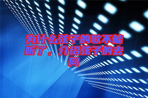 為什么弦子的歌不能聽了，介紹弦子的去向