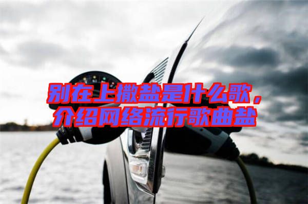 別在上撒鹽是什么歌，介紹網(wǎng)絡(luò)流行歌曲鹽