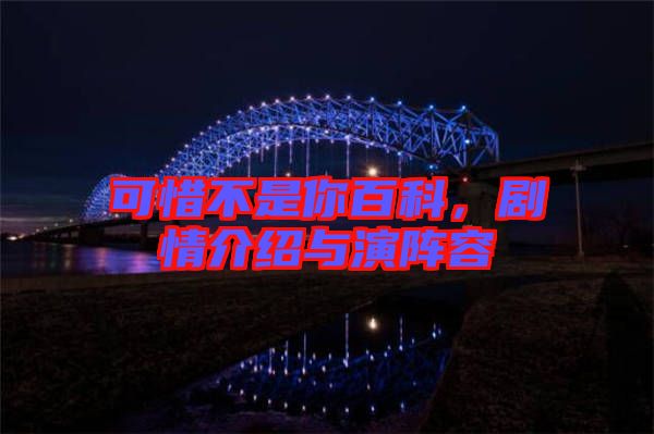 可惜不是你百科，劇情介紹與演陣容