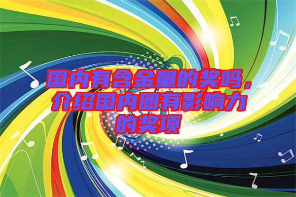 國內(nèi)有含金量的獎嗎，介紹國內(nèi)圈有影響力的獎項(xiàng)