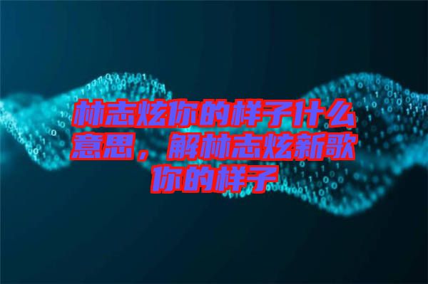 林志炫你的樣子什么意思，解林志炫新歌你的樣子