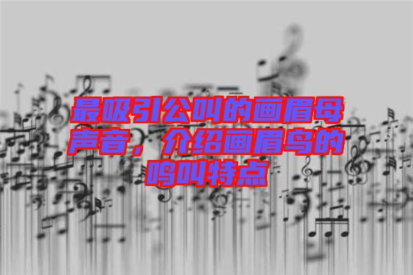 最吸引公叫的畫眉母聲音，介紹畫眉鳥的鳴叫特點(diǎn)