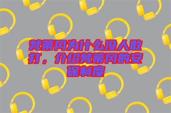梵蒂岡為什么沒人敢打，介紹梵蒂岡的安保制度