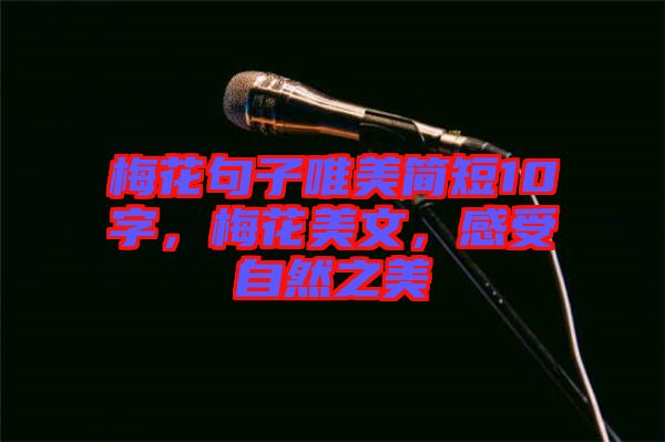 梅花句子唯美簡(jiǎn)短10字，梅花美文，感受自然之美