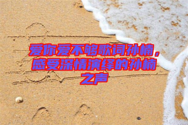 愛(ài)你愛(ài)不夠歌詞孫楠，感受深情演繹的孫楠之聲