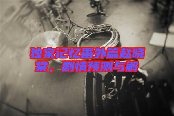 獨(dú)家記憶番外篇趙曉棠，劇情預(yù)測(cè)與解