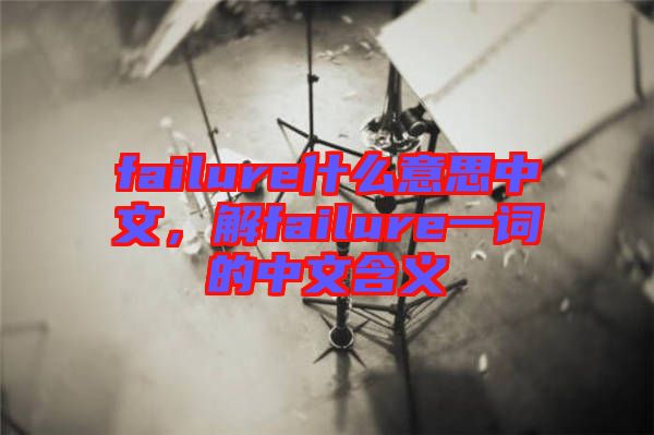 failure什么意思中文，解failure一詞的中文含義