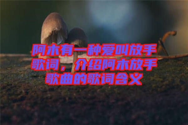 阿木有一種愛叫放手歌詞，介紹阿木放手歌曲的歌詞含義