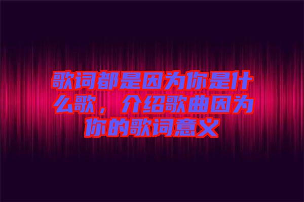 歌詞都是因?yàn)槟闶鞘裁锤?，介紹歌曲因?yàn)槟愕母柙~意義