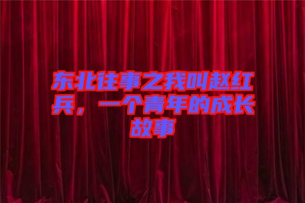 東北往事之我叫趙紅兵，一個青年的成長故事