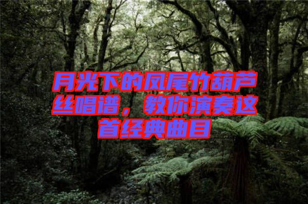 月光下的鳳尾竹葫蘆絲唱譜，教你演奏這首經(jīng)典曲目