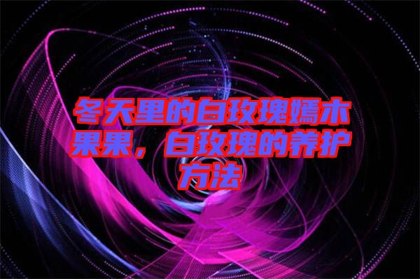 冬天里的白玫瑰嫣木果果，白玫瑰的養(yǎng)護(hù)方法