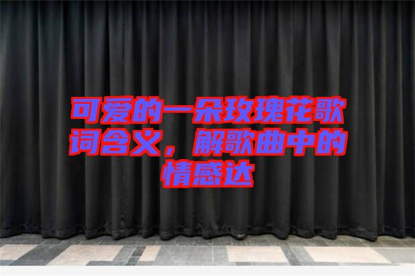 可愛的一朵玫瑰花歌詞含義，解歌曲中的情感達