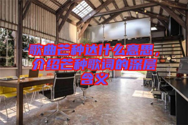 歌曲芒種達(dá)什么意思，介紹芒種歌詞的深層含義