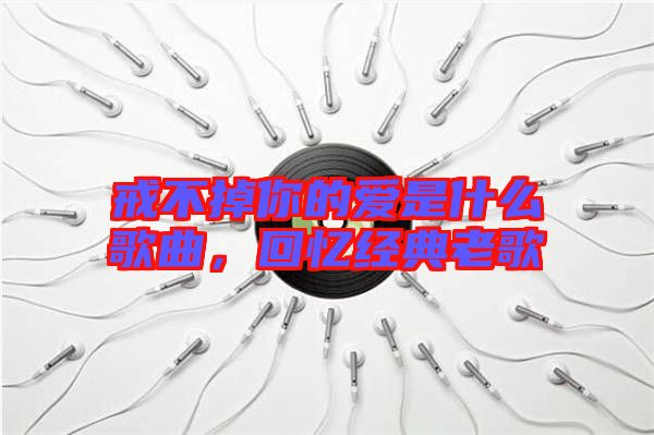 戒不掉你的愛是什么歌曲，回憶經(jīng)典老歌
