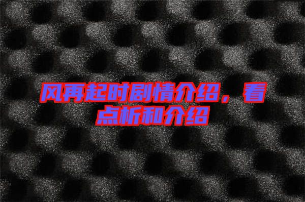 風再起時劇情介紹，看點析和介紹