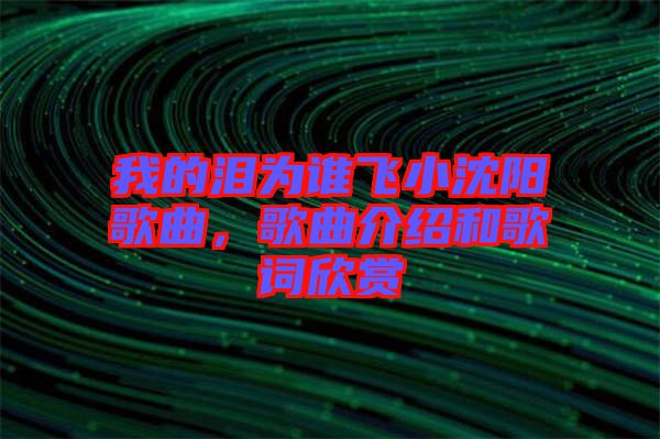 我的淚為誰(shuí)飛小沈陽(yáng)歌曲，歌曲介紹和歌詞欣賞