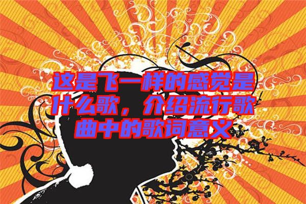 這是飛一樣的感覺(jué)是什么歌，介紹流行歌曲中的歌詞意義